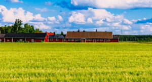 Contact Dobbs Legal Group